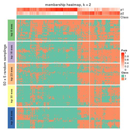 plot of chunk tab-MAD-NMF-membership-heatmap-1