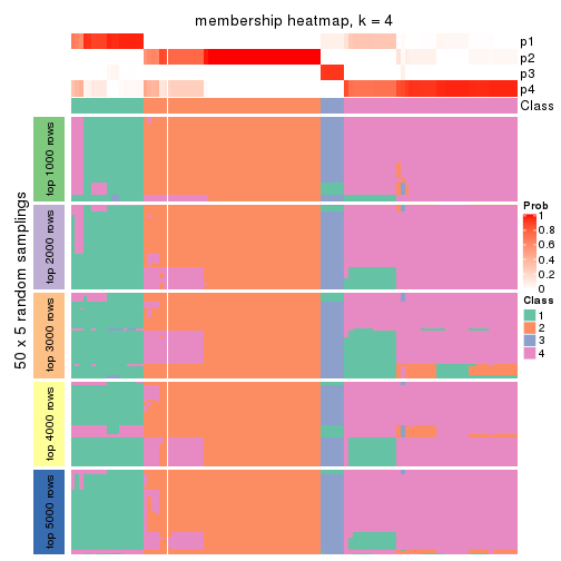 plot of chunk tab-ATC-kmeans-membership-heatmap-3