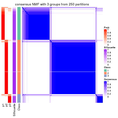 plot of chunk tab-SD-NMF-consensus-heatmap-2