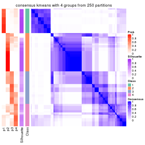 plot of chunk tab-SD-kmeans-consensus-heatmap-3