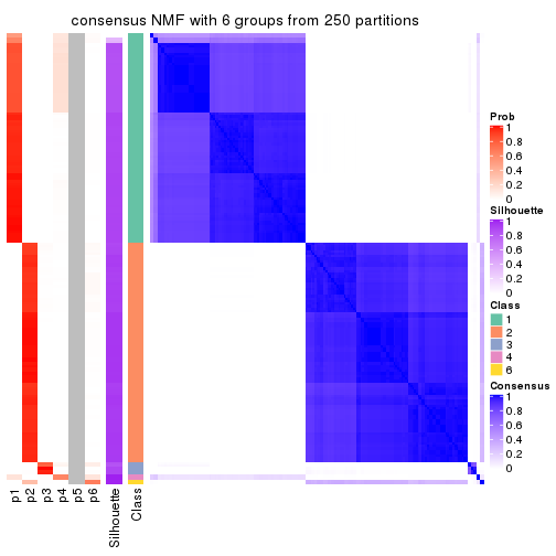 plot of chunk tab-SD-NMF-consensus-heatmap-5