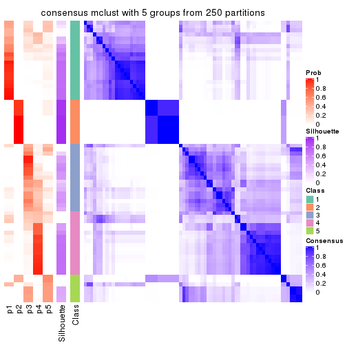 plot of chunk tab-ATC-mclust-consensus-heatmap-4