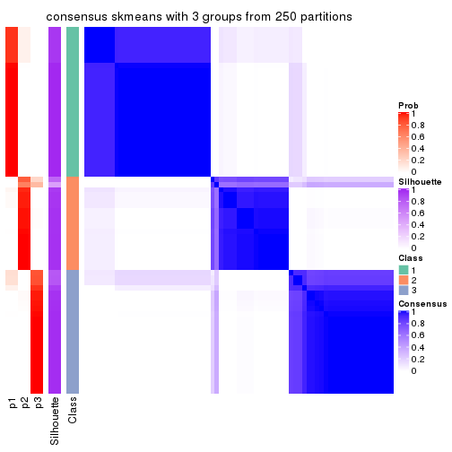 plot of chunk tab-ATC-skmeans-consensus-heatmap-2