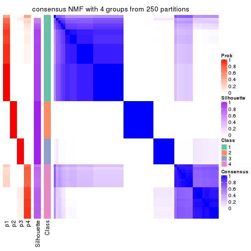 plot of chunk tab-SD-NMF-consensus-heatmap-3