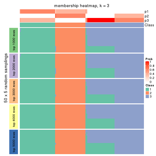 plot of chunk tab-CV-NMF-membership-heatmap-2