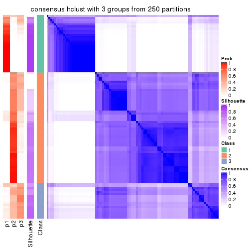 plot of chunk tab-CV-hclust-consensus-heatmap-2