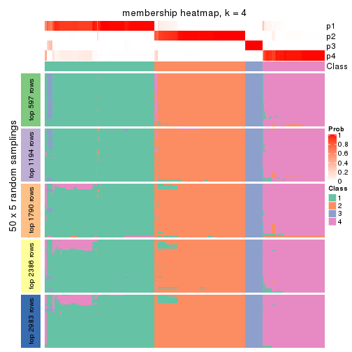 plot of chunk tab-CV-mclust-membership-heatmap-3