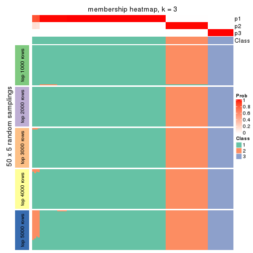 plot of chunk tab-CV-pam-membership-heatmap-2