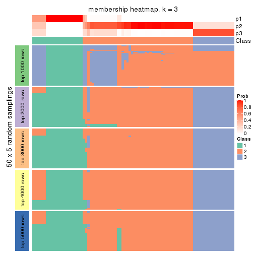 plot of chunk tab-ATC-mclust-membership-heatmap-2