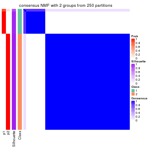 plot of chunk tab-CV-NMF-consensus-heatmap-1