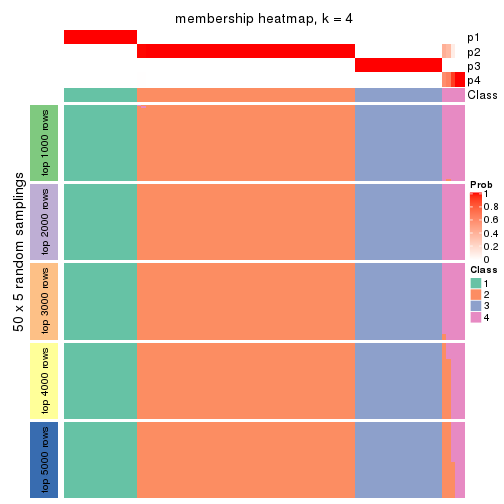 plot of chunk tab-MAD-pam-membership-heatmap-3