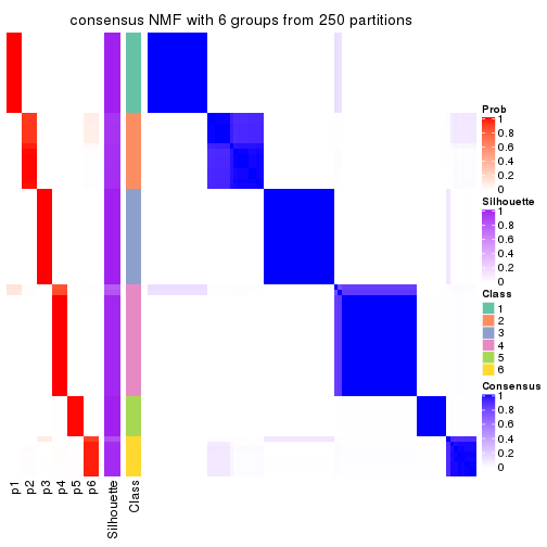 plot of chunk tab-SD-NMF-consensus-heatmap-5