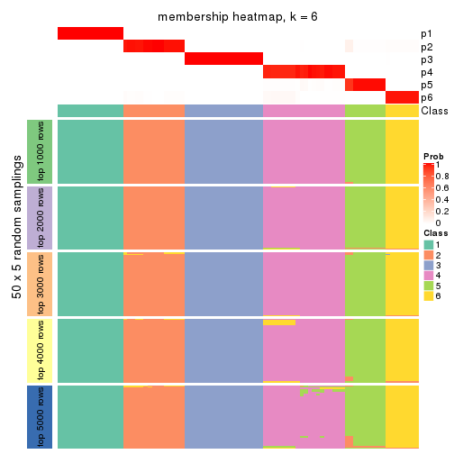 plot of chunk tab-SD-skmeans-membership-heatmap-5