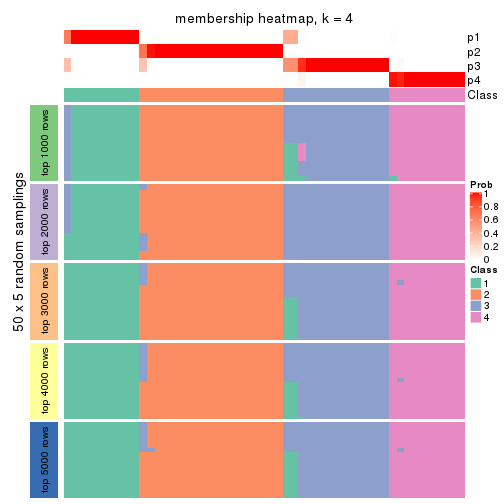 plot of chunk tab-ATC-mclust-membership-heatmap-3