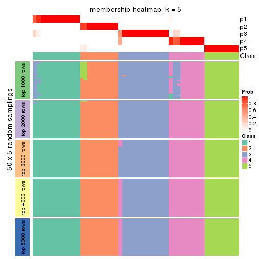 plot of chunk tab-MAD-pam-membership-heatmap-4