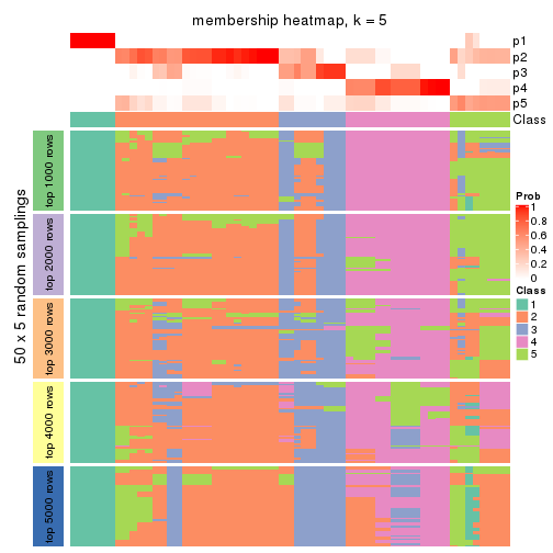 plot of chunk tab-CV-hclust-membership-heatmap-4