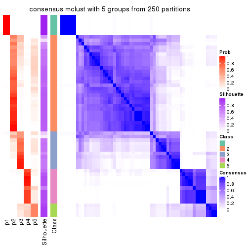 plot of chunk tab-CV-mclust-consensus-heatmap-4