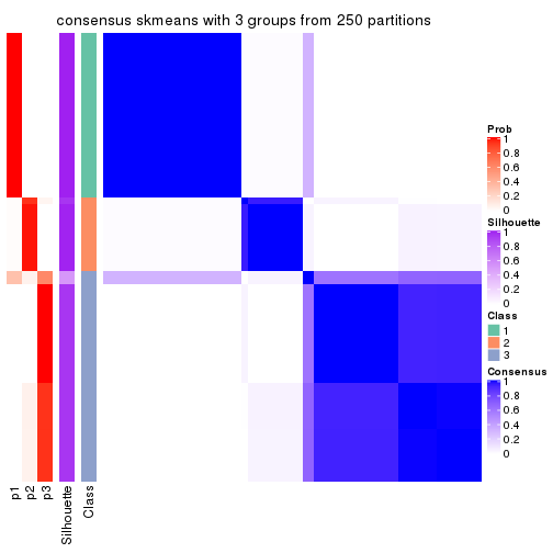 plot of chunk tab-MAD-skmeans-consensus-heatmap-2