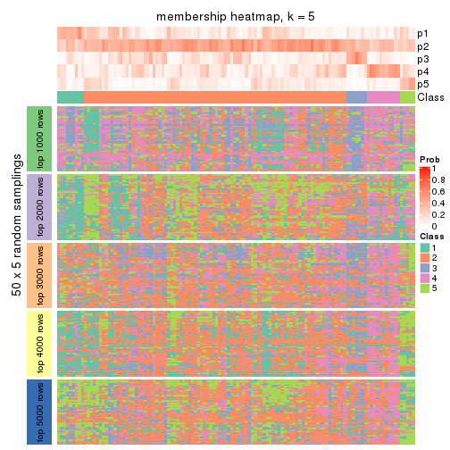 plot of chunk tab-MAD-mclust-membership-heatmap-4