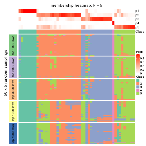 plot of chunk tab-ATC-NMF-membership-heatmap-4