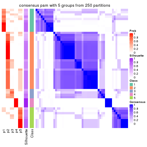 plot of chunk tab-MAD-pam-consensus-heatmap-4