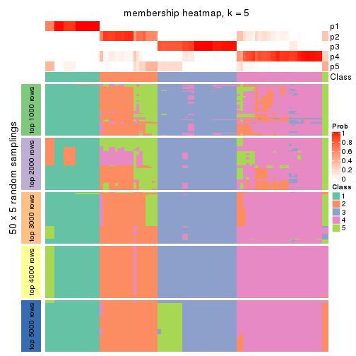 plot of chunk tab-ATC-mclust-membership-heatmap-4