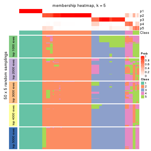 plot of chunk tab-SD-hclust-membership-heatmap-4
