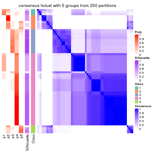 plot of chunk tab-MAD-hclust-consensus-heatmap-4