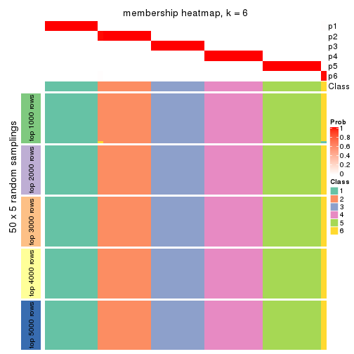 plot of chunk tab-CV-pam-membership-heatmap-5