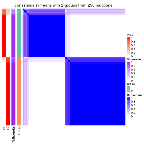 plot of chunk tab-ATC-skmeans-consensus-heatmap-1