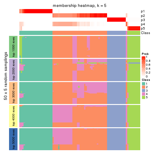 plot of chunk tab-CV-NMF-membership-heatmap-4