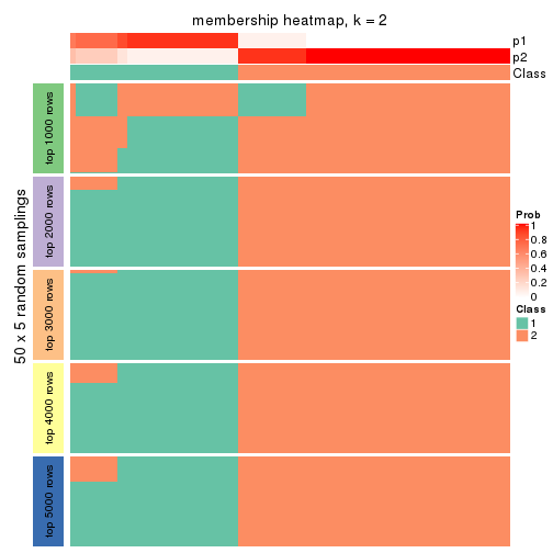 plot of chunk tab-MAD-mclust-membership-heatmap-1