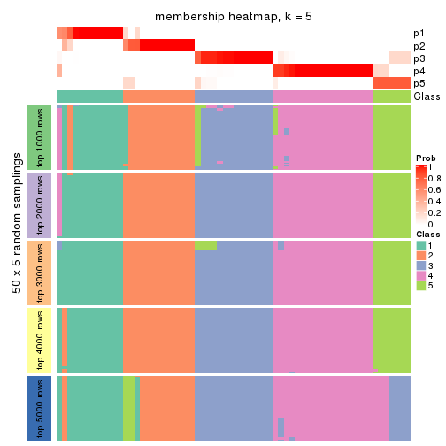 plot of chunk tab-ATC-pam-membership-heatmap-4