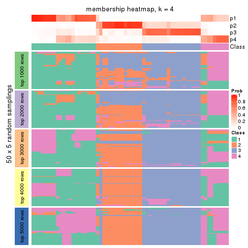 plot of chunk tab-SD-kmeans-membership-heatmap-3