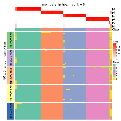 plot of chunk tab-CV-NMF-membership-heatmap-5