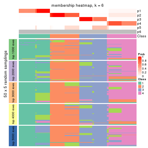 plot of chunk tab-SD-kmeans-membership-heatmap-5