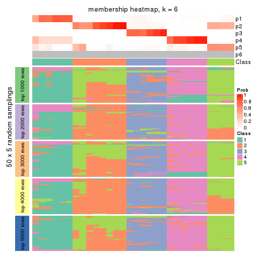 plot of chunk tab-MAD-kmeans-membership-heatmap-5