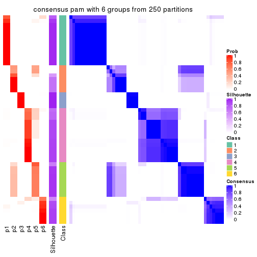 plot of chunk tab-MAD-pam-consensus-heatmap-5