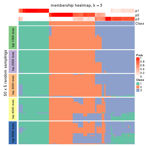 plot of chunk tab-ATC-kmeans-membership-heatmap-2
