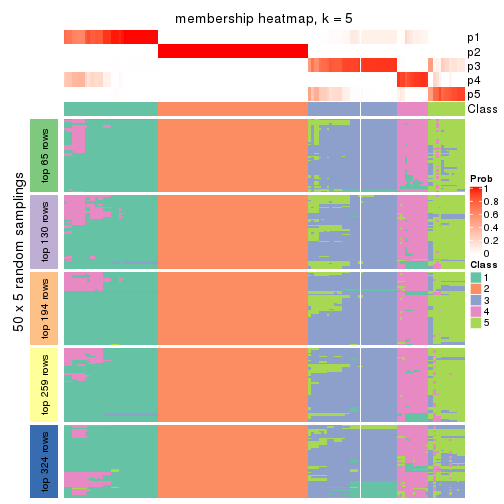 plot of chunk tab-MAD-hclust-membership-heatmap-4