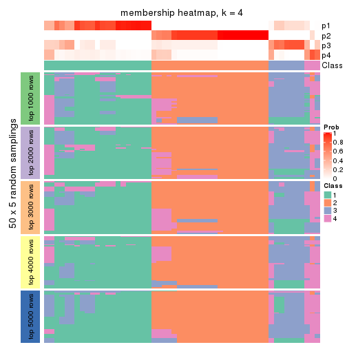 plot of chunk tab-MAD-kmeans-membership-heatmap-3