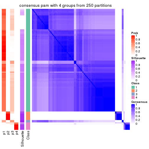 plot of chunk tab-ATC-pam-consensus-heatmap-3