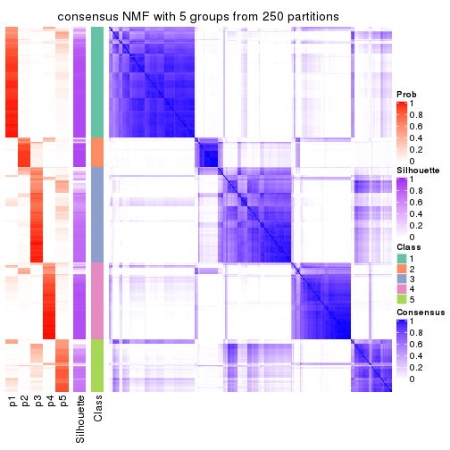 plot of chunk tab-CV-NMF-consensus-heatmap-4