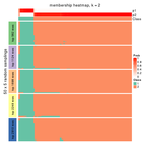 plot of chunk tab-CV-NMF-membership-heatmap-1