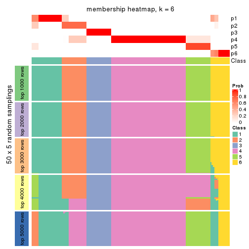 plot of chunk tab-ATC-pam-membership-heatmap-5