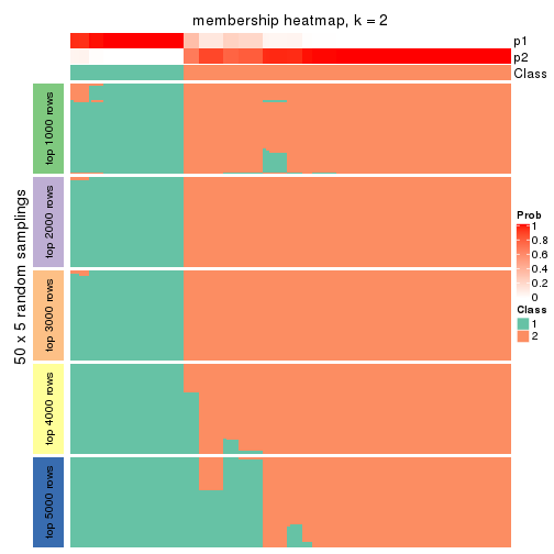 plot of chunk tab-SD-NMF-membership-heatmap-1