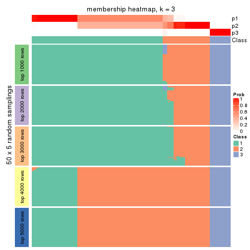 plot of chunk tab-SD-pam-membership-heatmap-2