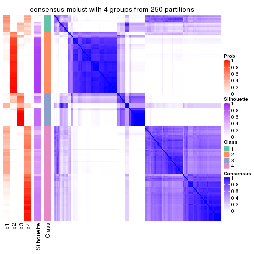 plot of chunk tab-CV-mclust-consensus-heatmap-3