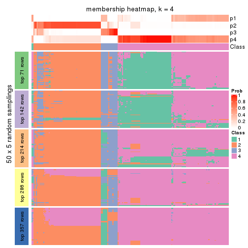 plot of chunk tab-MAD-hclust-membership-heatmap-3