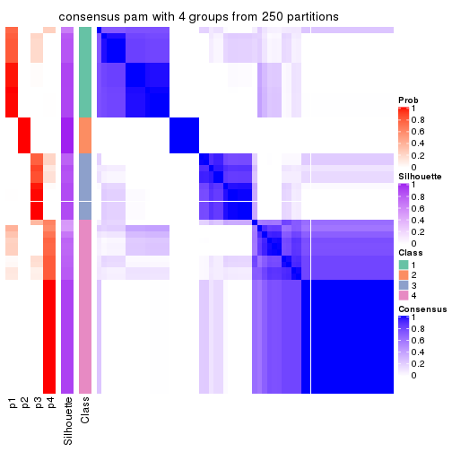 plot of chunk tab-ATC-pam-consensus-heatmap-3